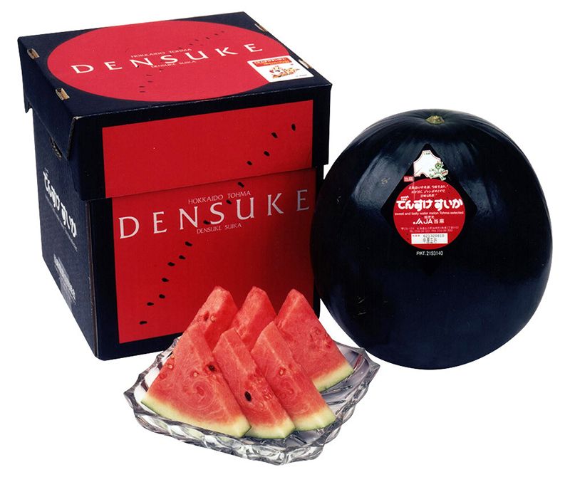 Dưa hấu đen Densuke Dưa hấu đen Densuke